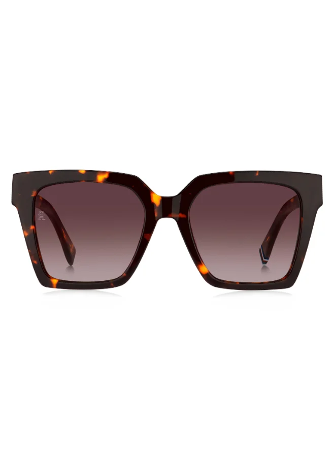 TOMMY HILFIGER  Square Tommy Hilfiger Sunglasses  | Best Price UAE
